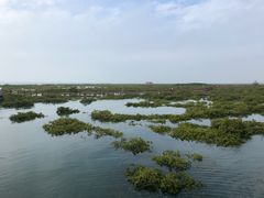 -北海金海湾红树林生态旅游区