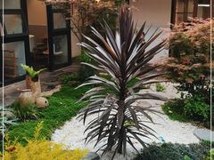 -往来·竹里.宝宝宴.生日宴.团建.宴席(花乡农居店)