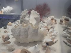 -福州罗源湾海洋世界旅游区