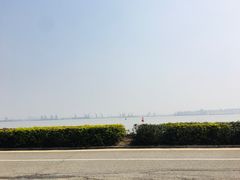 -海鸥岛