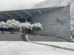 -西岭雪山大飞水景区
