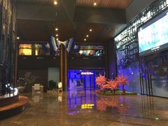 -万达影城IMAX(海口日月广场店)