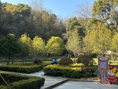 -上海佘山国家森林公园天马山园