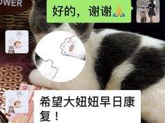 -宠爱国际动物医院· 猫科· 外科·中兽医(长白店)