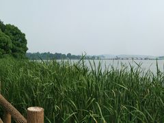 -东湖落雁景区