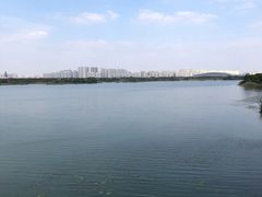 -贡湖湾湿地公园