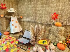 -芭莉与彩虹西餐厅(成都合生汇店)
