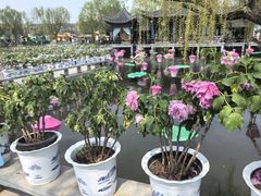 -中国翰园碑林