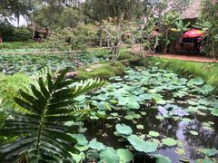 -Mekong Rest Stop