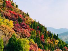 -石门坊