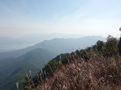 -梧桐山风景名胜区