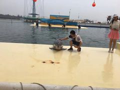 -秦皇岛乐岛海洋王国