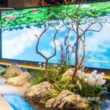 外婆雪花鱼很嫩也很适合小孩子吃