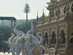 -西双版纳勐泐文化旅游区