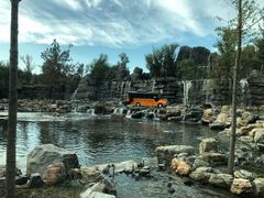 -北京野生动物园