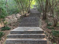 -紫金山山顶公园