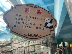 -大青山野生动物园