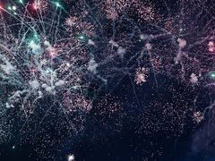 -花博汇(知音花月夜)