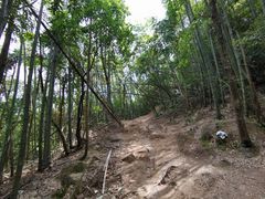 -萍乡武功山风景名胜区