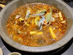 美蛙-石锅苗苗鱼(武汉首店)