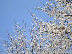 -白塘生态植物园