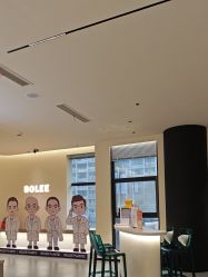 -重庆宝丽医疗美容