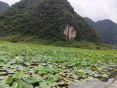 -靖西鹅泉风景区