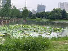 -合肥生态公园