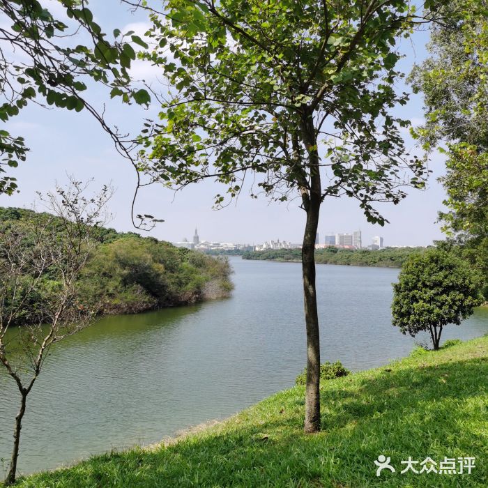 松山湖南湖湾露营营地图片