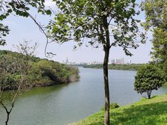 -松山湖南湖湾露营营地