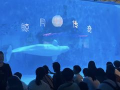 -海河外滩公园
