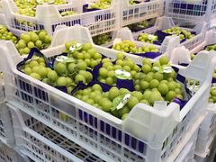 -鲜力达果品批发直销(无锡保利香槟店)