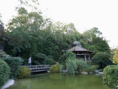 -上海吴淞炮台湾国家湿地公园