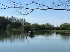 -苏州太湖国家湿地公园
