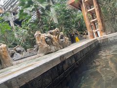 -龙达温泉生态城