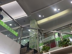 -爱侣宠医·鹦鹉专科·小型哺乳类·异宠专科(灵石路店)