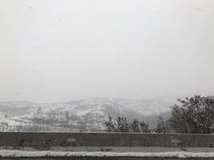 -老王烫面角(北京路店)