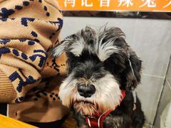 -冯记香辣兔火锅(茶店子总店)