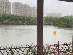 -顺德美食坊(南沙分店)