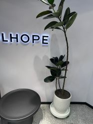-DL HOPE造型