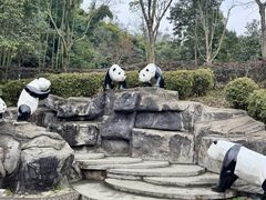 -都江堰中华大熊猫苑
