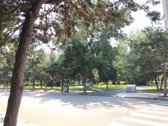 -东北大学(南湖校区)