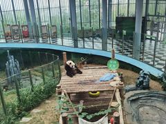 -大连森林动物园