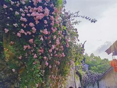 -惠山古镇·寄畅园