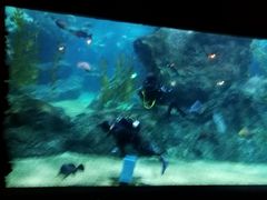 -暹罗海洋世界