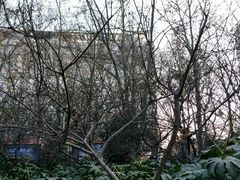 -洛阳市牡丹公园