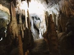 -波斯托伊纳溶洞