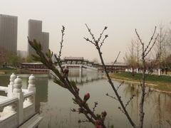景点-西海子公园