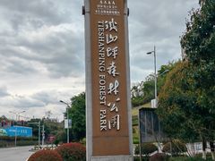 -铁山坪森林公园