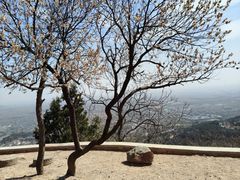 -北京西山国家森林公园